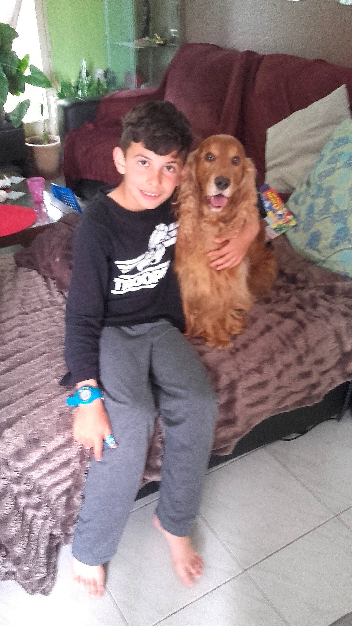 Gasper participe au concours pour gagner de l'argent avec cette photo : carnivoran, companion_dog, dog, dog_breed, dog_breed_group, dog_like_mammal, fun, girl, joy, mammal, person, spaniel, sporting_group, vertebrate