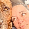 affection, animal, brown_dog, casual, close_up, companion, dog, face, friendship, headshot, human, indoor, looking_away, pet, portrait, selfie, together, vehicle, warm_light, woman