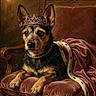 animal, black, brown, candle, chair, decor, dog, fur, indoor, ornate, pearl_necklace, pet, portrait, regal, royalty, small_dog, throne, tiara, velvet_cloak, vintage