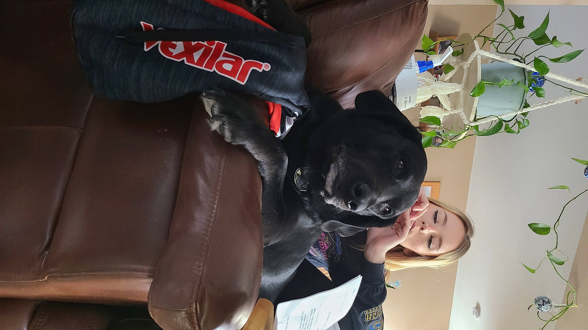 Bubba is registered to the contest to win money with this photo: bag, canidae, carnivore, companion_dog, dog, dog_breed, fashion_accessory, fawn, fur, gesture, guard_dog, helmet, leather, non_sporting_group, personal_protective_equipment, snout, sporting_group, sports_gear, working_animal