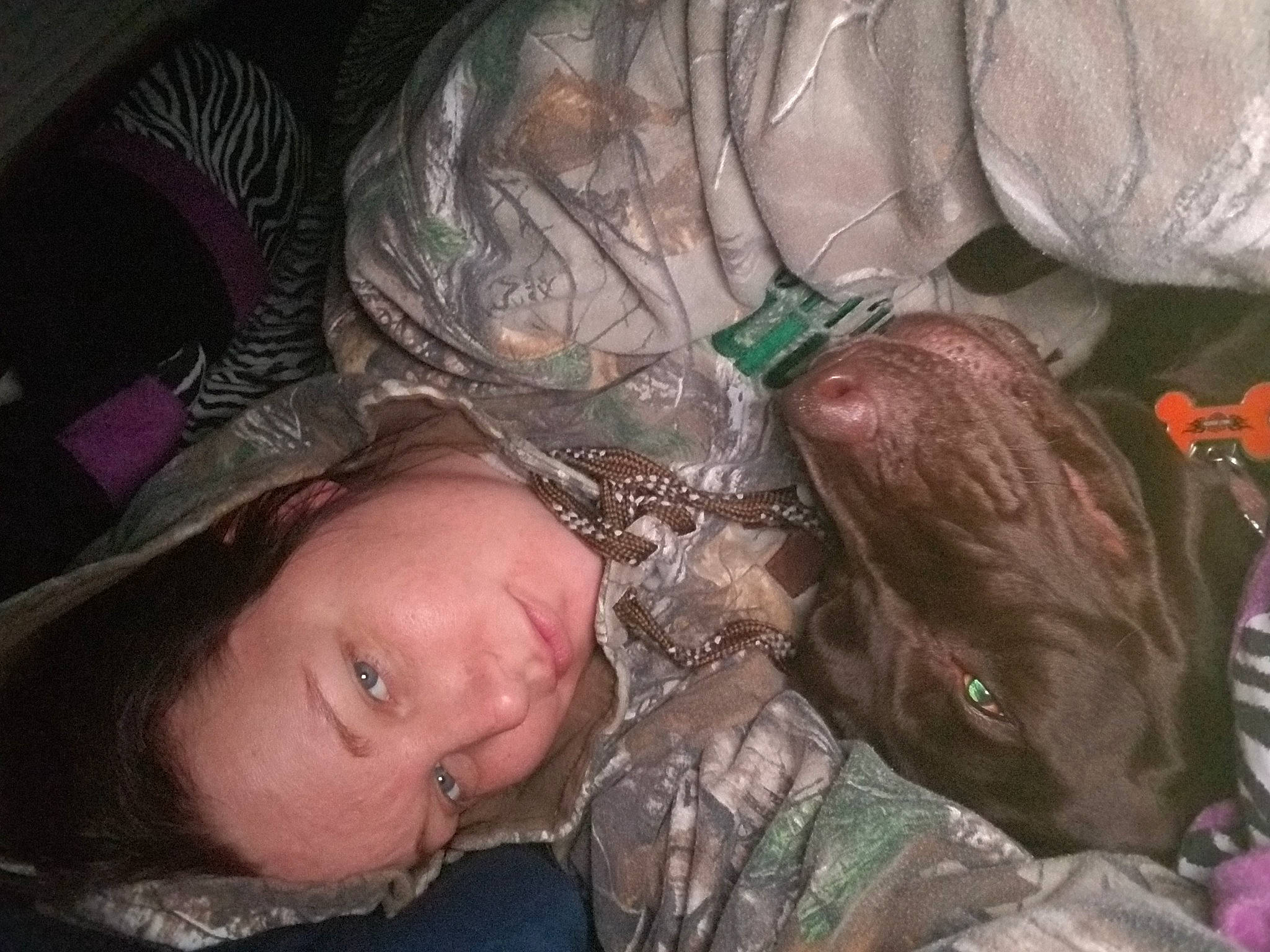 Marlee Mae joined the competition — help win amazing prizes! darkness, eyelash, flash_photography, flesh, fun, military, military_camouflage, mouth, pattern, personal_protective_equipment, tree, vertebrate, visual_arts, working_animal, wrinkle