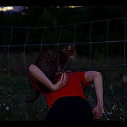 Ici-Piccoli participe au concours pour gagner de l'argent avec cette photo : cat, person, red_shirt, wire_fence, sheep, dusk, outdoor, wildflowers, animal, grass, nature, rural, tabby_cat, back_view, shoulders, pet, evening, field, animal_companion, quiet