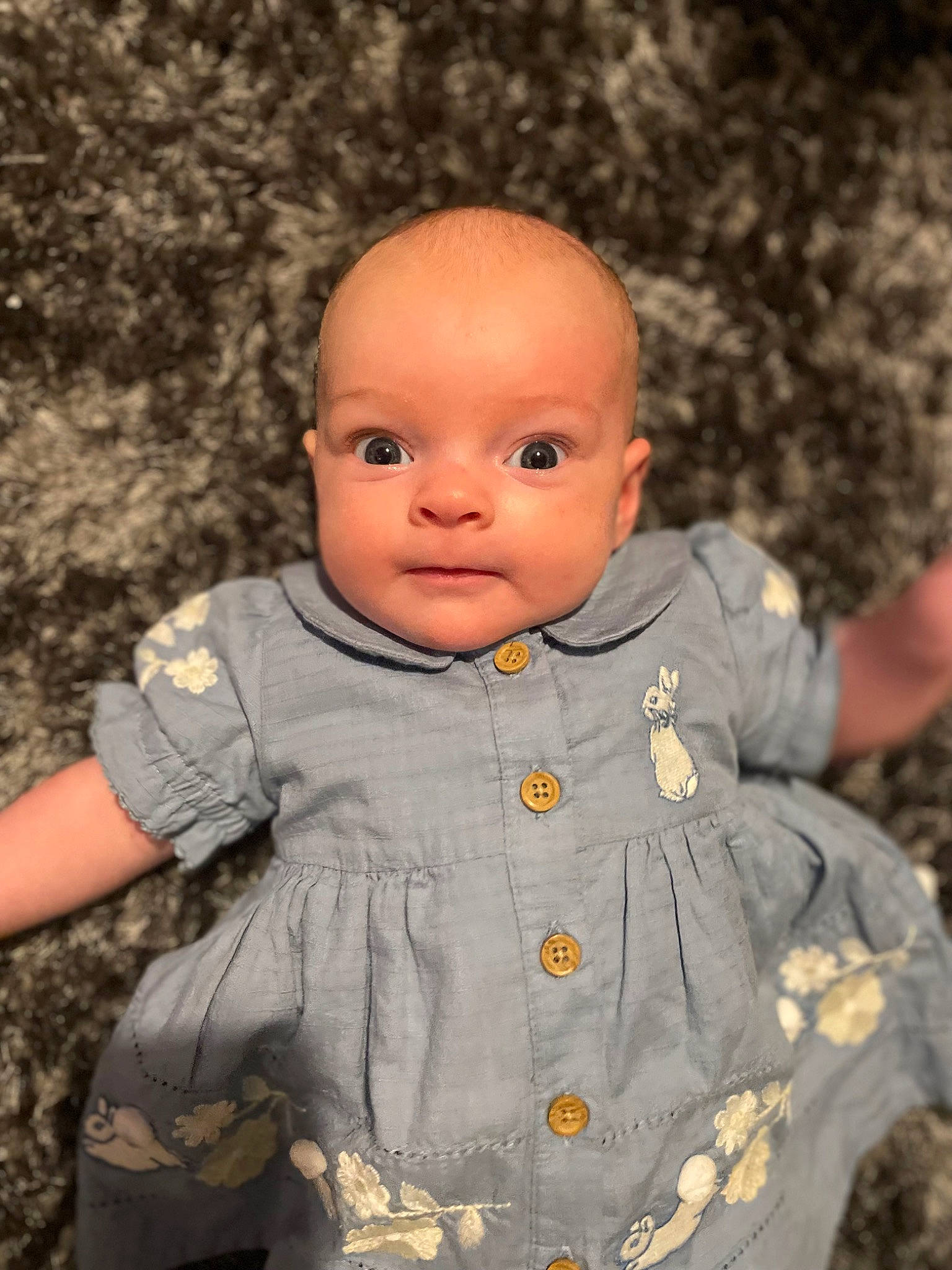 Willow Rae is registered to the contest to win money with this photo: art, baby, baby_toddler_clothing, cheek, child, chin, doll, face, gesture, grass, happy, human_body, iris, nose, outerwear, people_in_nature, person, skin, sleeve, toddler