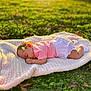 baby, sleeping, blanket, outdoor, grass, flower, sunlight, peaceful, nature, child, infant, pink_clothing, white_shorts, cute, relaxation, portrait, soft_texture, greenery, daylight, serene