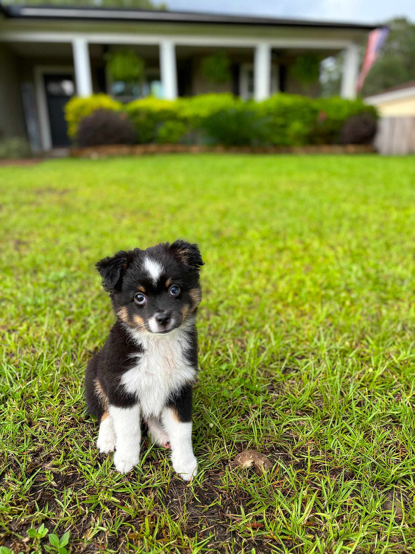 Tally