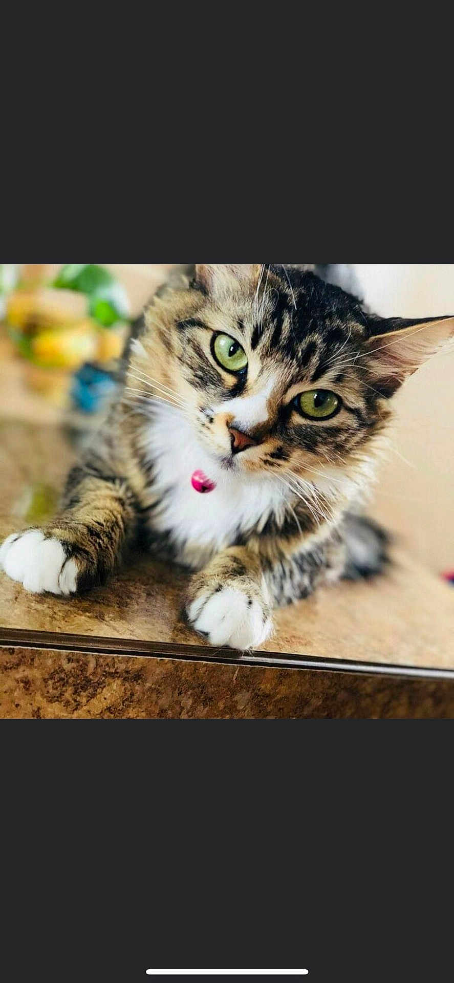 Oreo