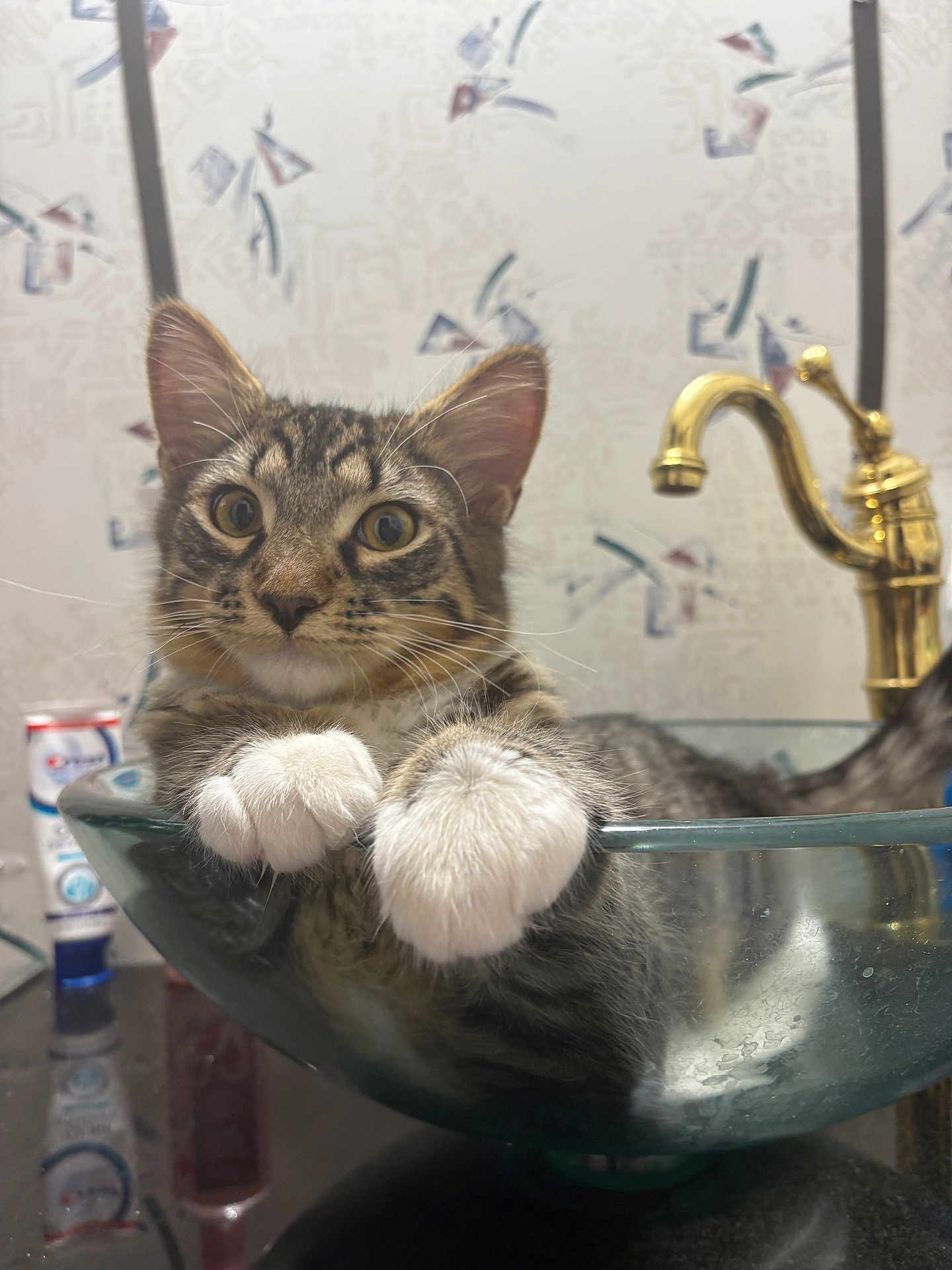 Milo