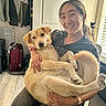 casual_clothing, chair, dog, flooring, happy, holding, indoor, jackets, natural_light, pet, portrait, relaxed, sitting, smiling, suitcase, tripod, watch, window, woman, yellow_dog