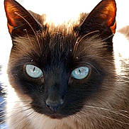 Bj is registered to the contest to win money with this photo: