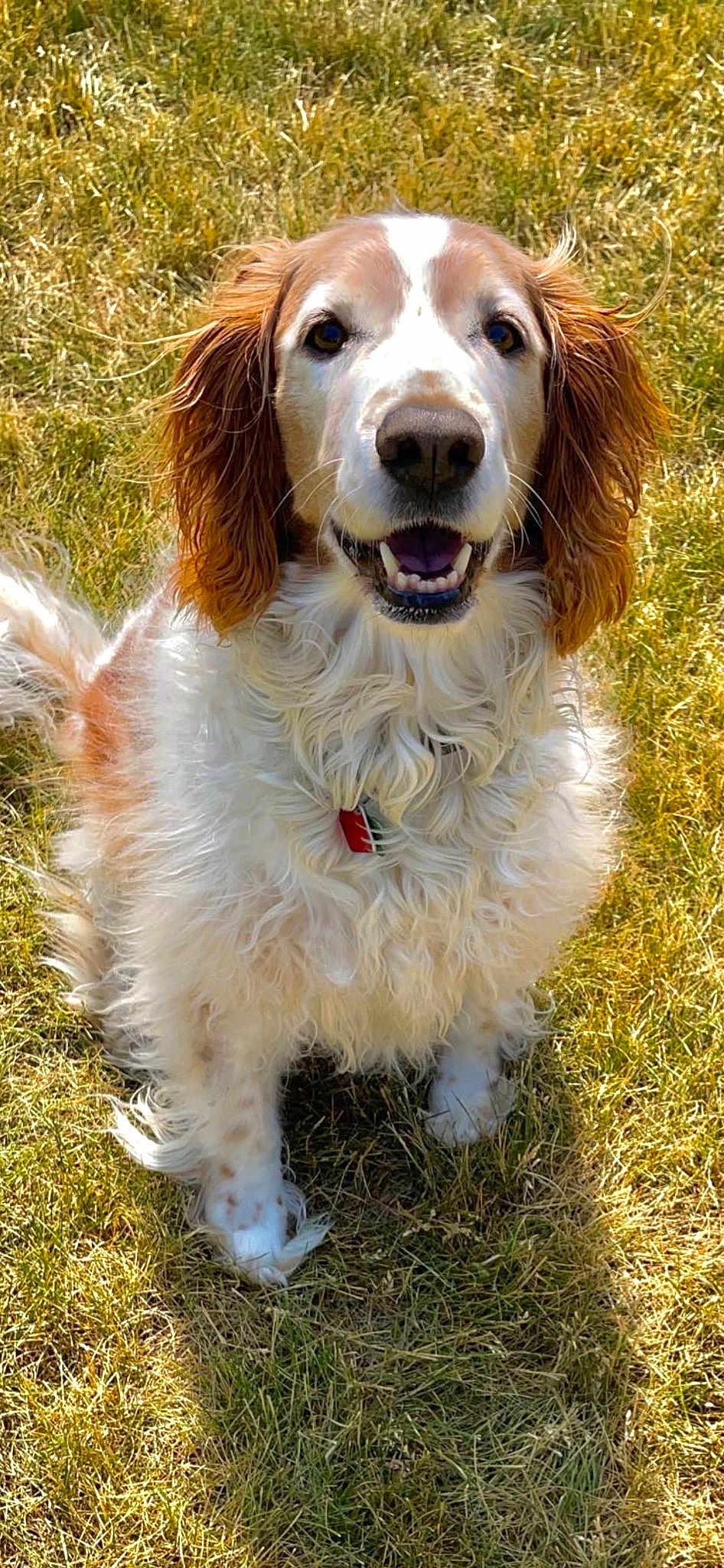 Annie