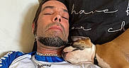 Bounty a rejoint le concours — aidez-le/la à gagner de superbes lots ! man, dog, sleeping, pillow, relaxation, indoor, casual_clothing, beard, pet, companion, resting, close_up, white_shirt, black_pillow, text_on_pillow, brown_dog, short_hair, necklace, comfortable, bond