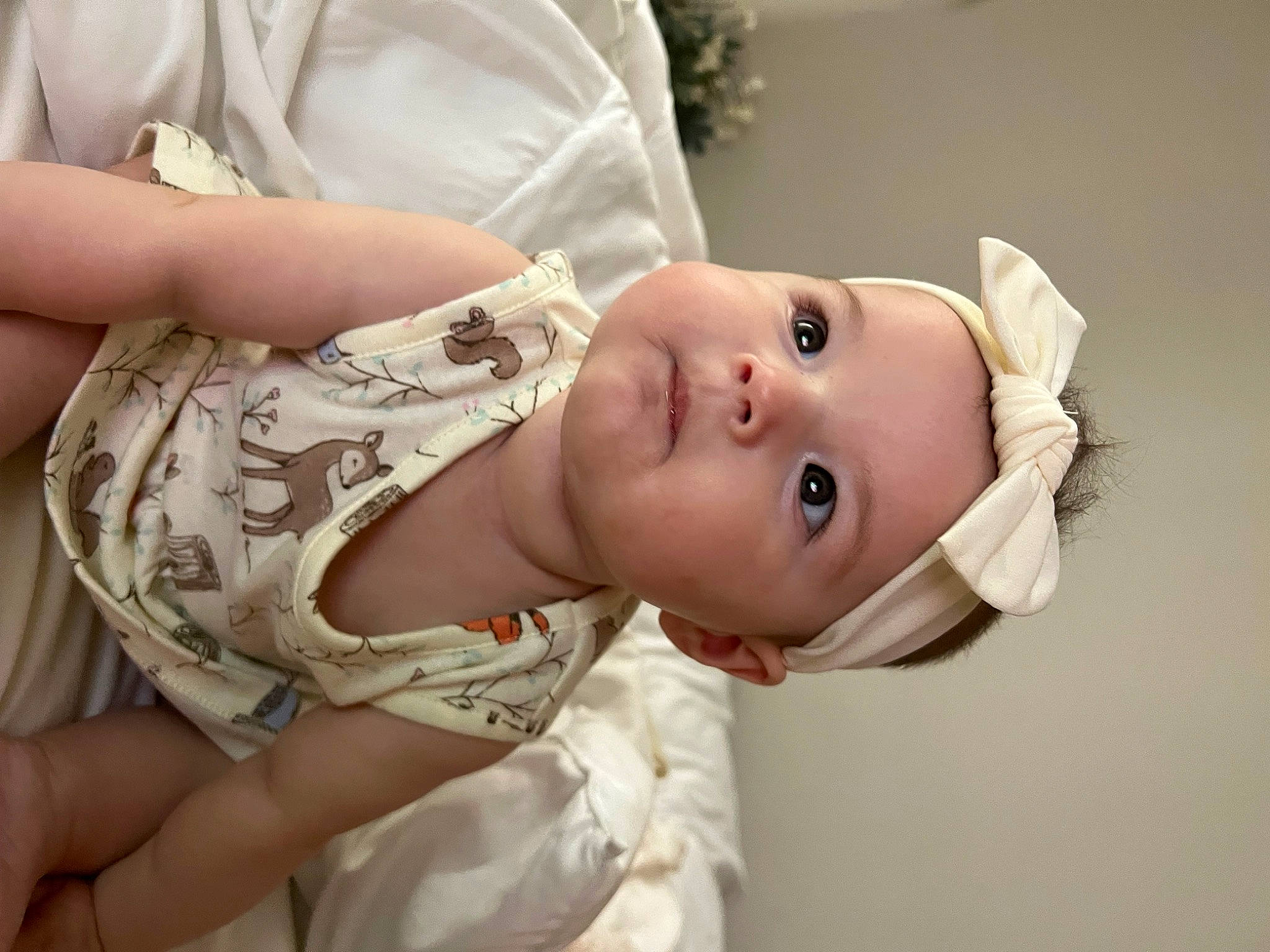 Liliana is registered to the contest to win money with this photo: abdomen, baby, baby_products, baby_toddler_clothing, cheek, chest, child, comfort, eyelash, hair_accessory, happy, hat, headwear, iris, lip, neck, nose, person, skin, sleeve