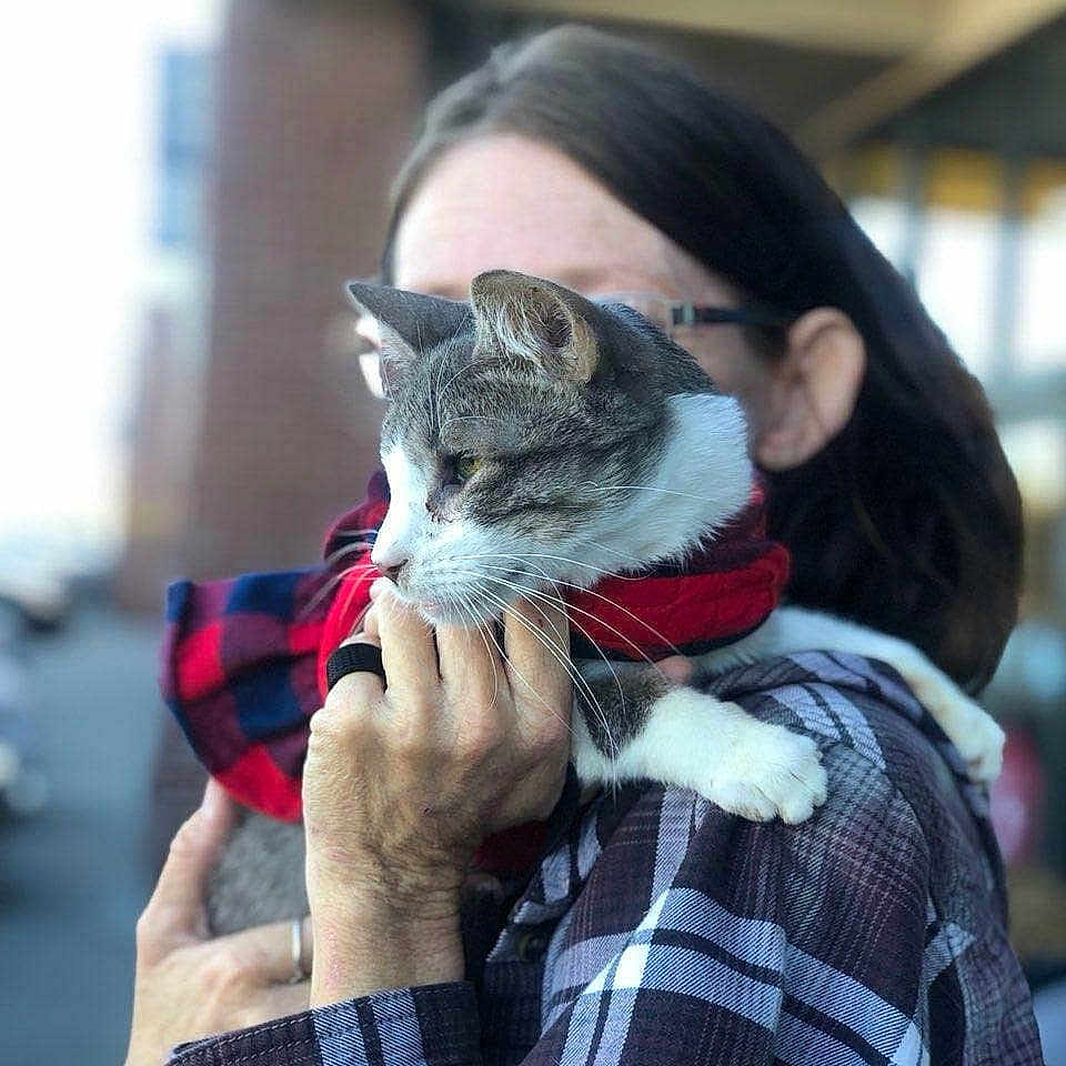 Dozer is registered to the contest to win money with this photo: abyssinian, accessories, adult, animal, blanket, cat, clothing, coat, face, female, glasses, hair, head, jacket, kitten, person, pet, photography, portrait, woman