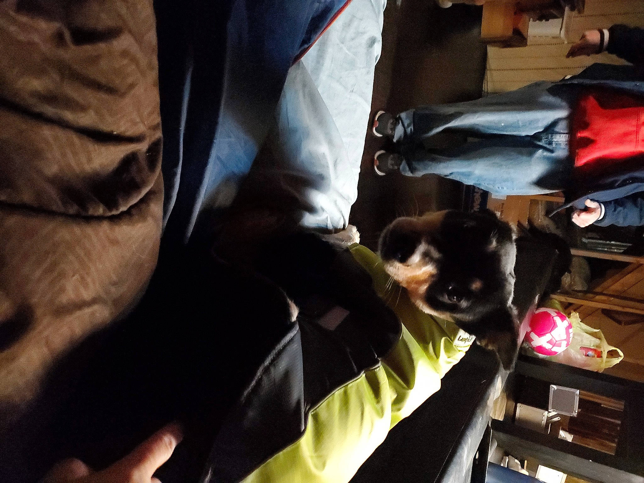 Macy joined the competition — help win amazing prizes! auto_part, automotive_exterior, automotive_lighting, elbow, human_leg, room, tree, vehicle_door