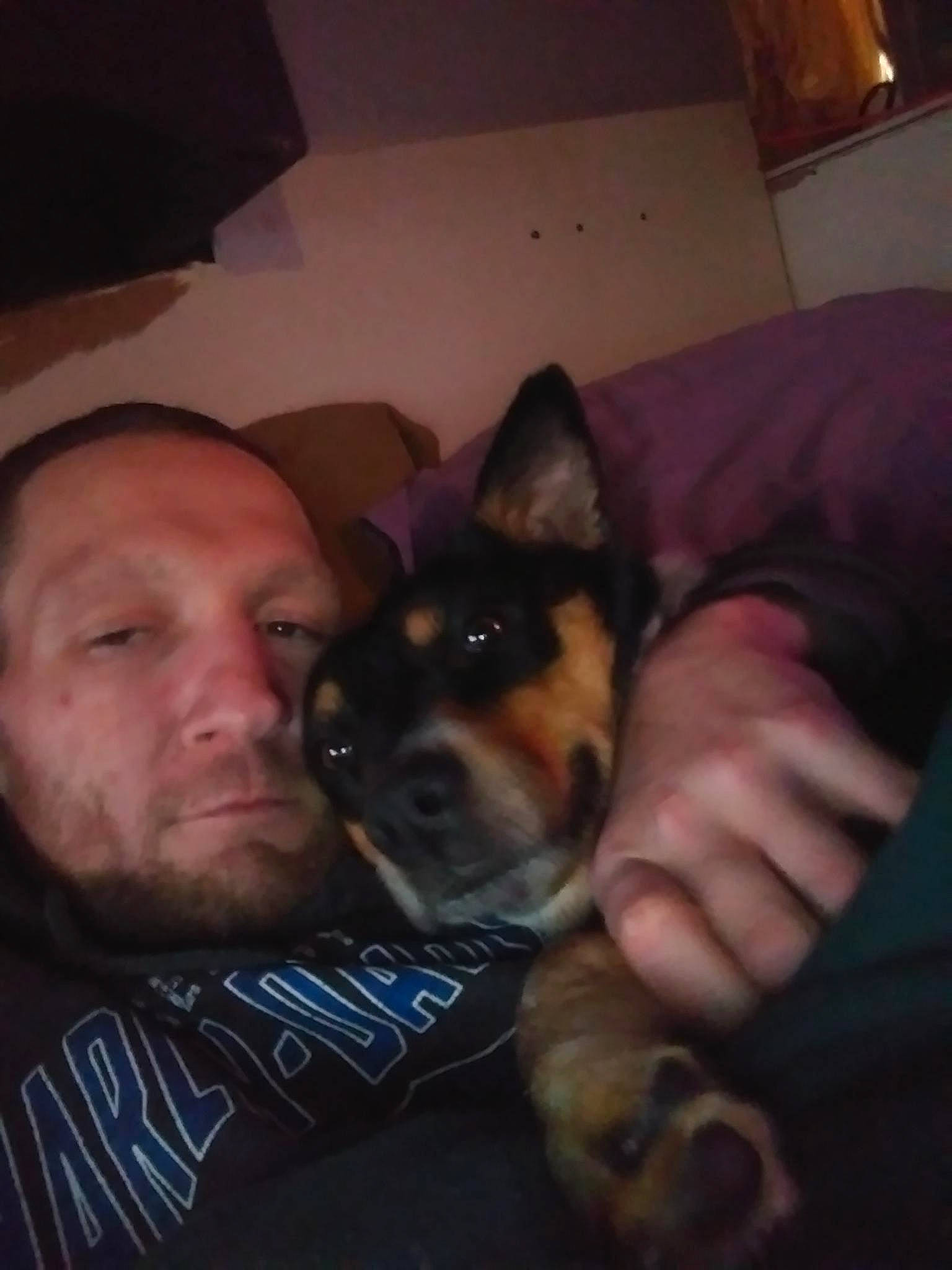 Macy is registered to the contest to win money with this photo: beard, canidae, carnivore, comfort, companion_dog, darkness, dog, dog_breed, ear, facial_hair, fawn, fun, fur, jaw, mouth, nose, snout, sporting_group, t_shirt, whiskers