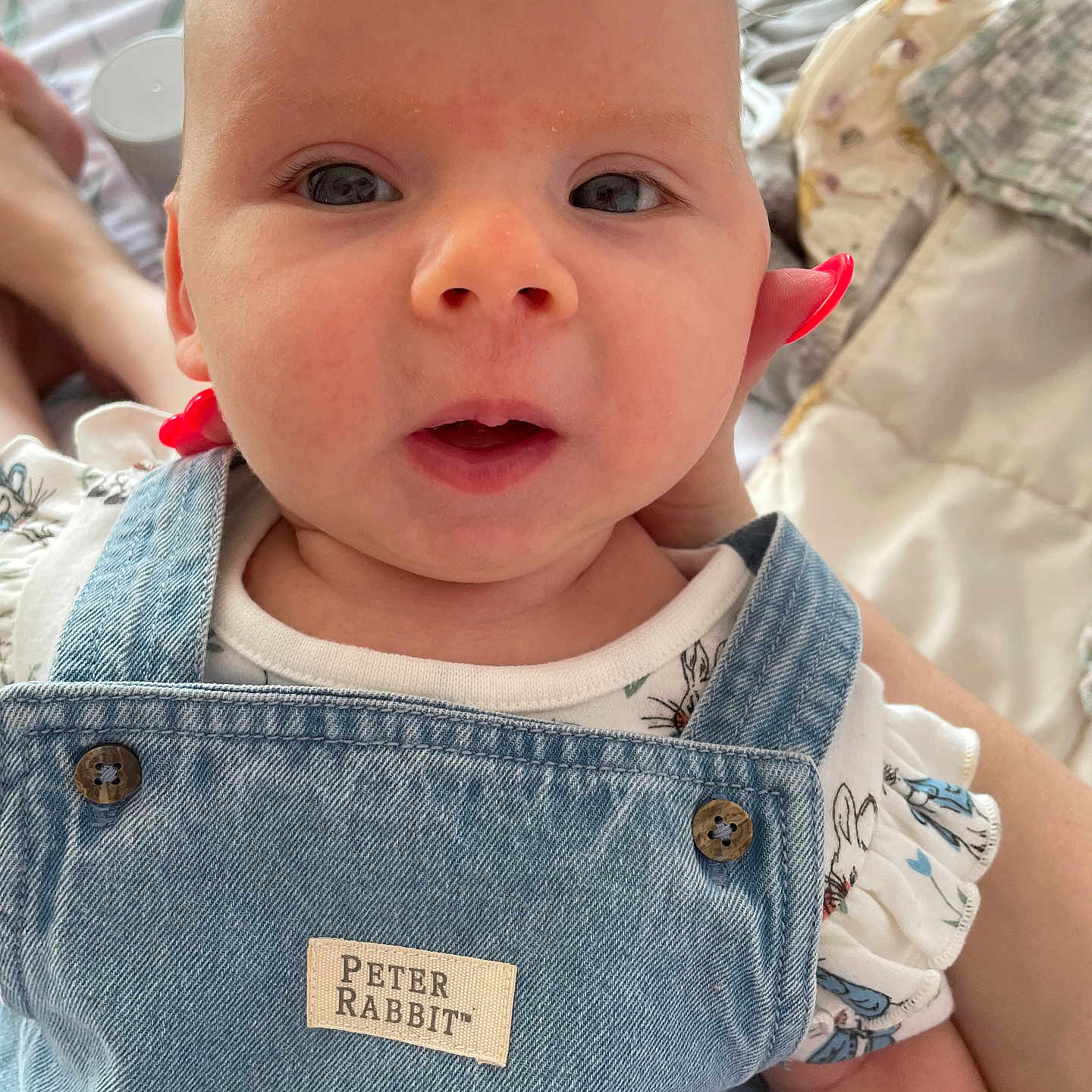 Gracie joined the competition — help win amazing prizes! apparel, baby, bed, blanket, child, closeup, clothing, cute, denim, expression, fabric, face, indoor, infant, overalls, person, peter_rabbit, portrait, soft, young