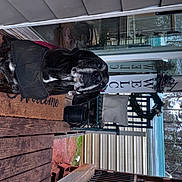 Arrow joined the competition — help win amazing prizes! art, auto_part, building, glass, handrail, hardwood, machine, metal, sculpture, statue, transport, tree, wood