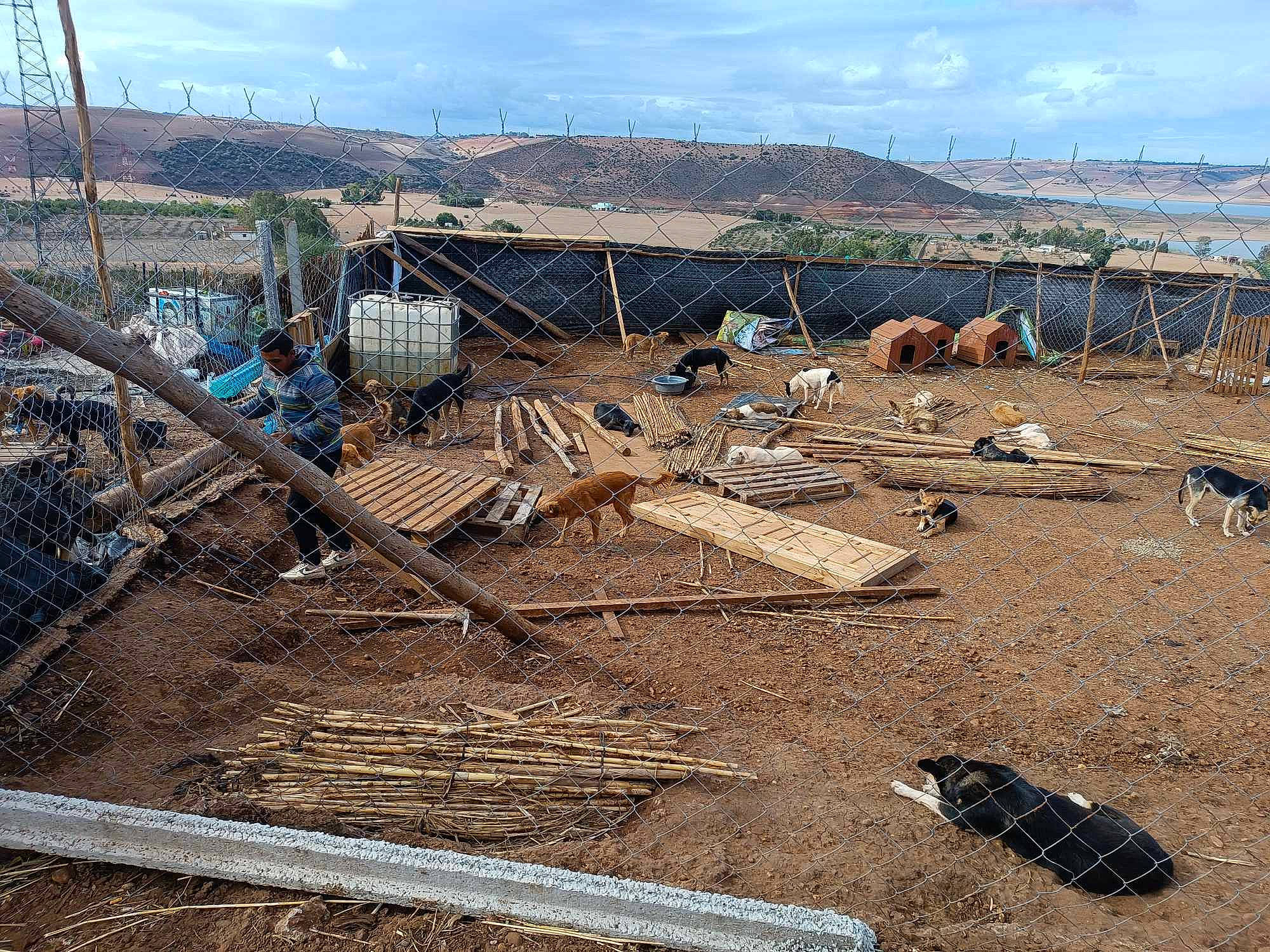 Laïka participe au concours pour gagner de l'argent avec cette photo : cloud, composite_material, event, land_lot, landscape, pollution, rural_area, sky, slope, soil, steel, tree, village, waste, wood, working_animal