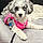 Calley