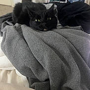 Midnight is registered to the contest to win money with this photo: cat, black_cat, green_eyes, clothing, gray, folded_clothes, laundry, indoor, pet_carrier, soft_texture, cozy, relaxed, feline, animal, home, bedroom, resting, pile, fabric, domestic