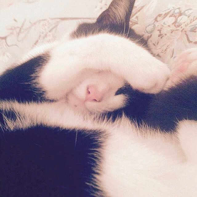 Darcie joined the competition — help win amazing prizes!