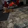 Jinx is registered to the contest to win money with this photo: dog, living_room, fireplace, christmas_stockings, rug, carpet, decorations, lanterns, holiday, festive, glass_table, wall_art, floor, collar, pet, interior, furniture, cozy, warm, lights