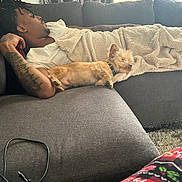 Jinx is registered to the contest to win money with this photo: man, dog, couch, blanket, sleeping, tattoo, indoor, curtains, relaxation, resting, pet, fur, home, comfort, cozy, living_room, casual, napping, small_dog, furniture
