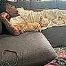 man, dog, couch, blanket, sleeping, tattoo, indoor, curtains, relaxation, resting, pet, fur, home, comfort, cozy, living_room, casual, napping, small_dog, furniture