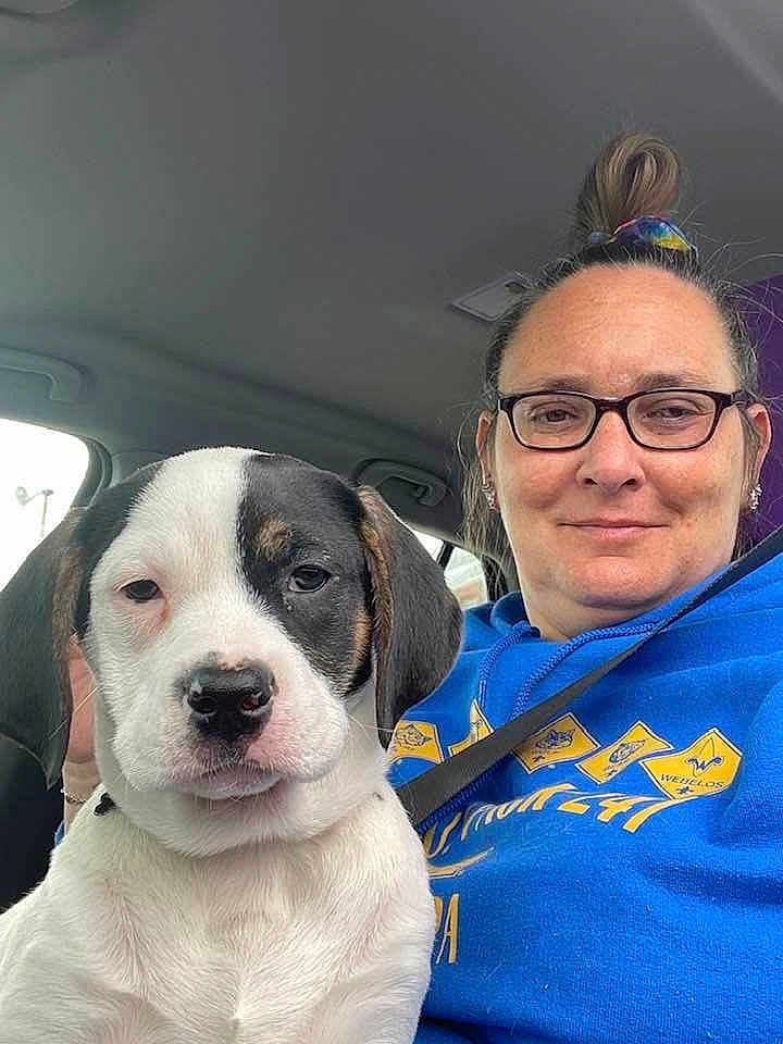 Bailey joined the competition — help win amazing prizes! woman, dog, puppy, car, selfie, seatbelt, glasses, casual, indoor, portrait, smile, black_and_white_dog, blue_hoodie, short_hair, tie_dye_hair_tie, seat, window, daylight, closeup, companion