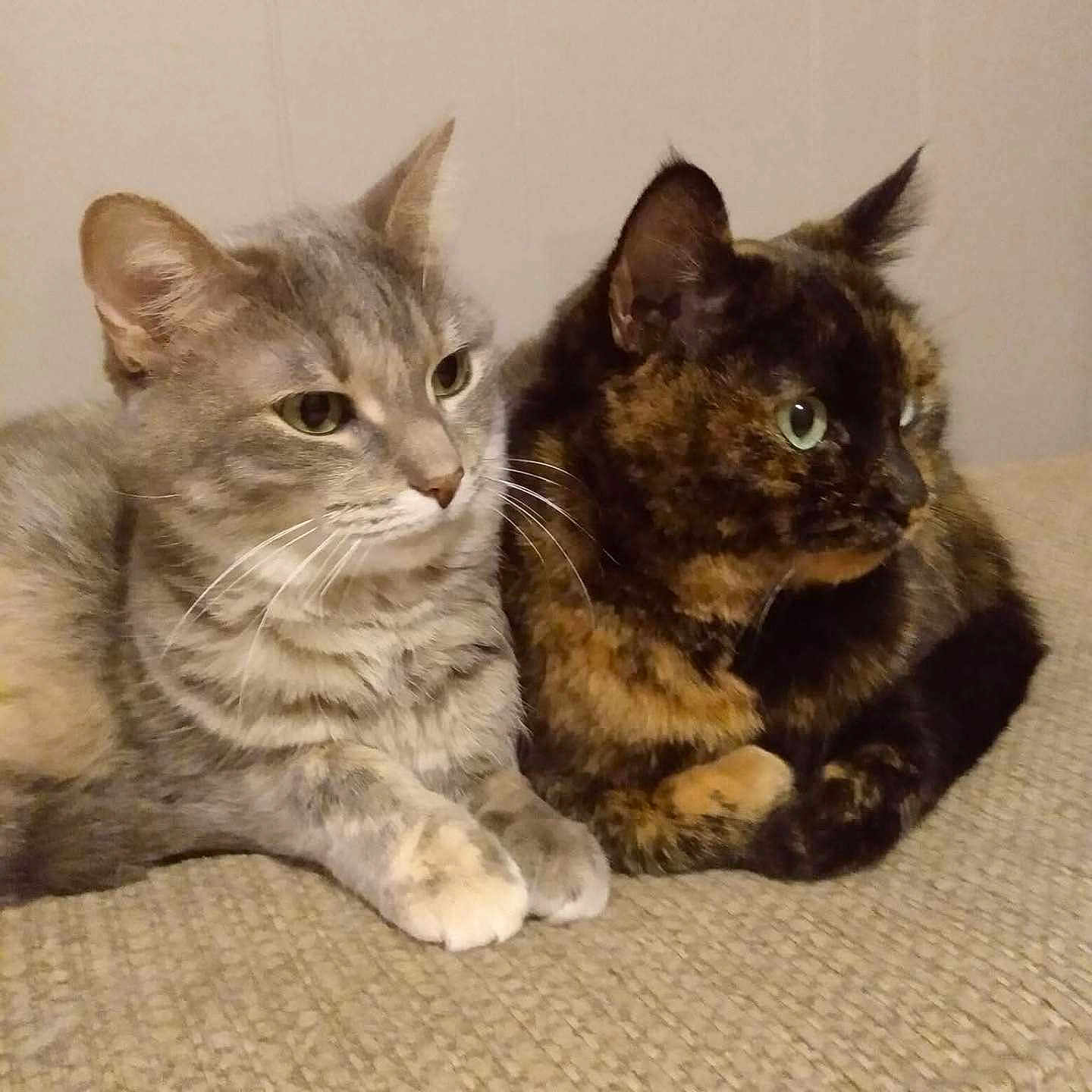 Smokey And Mocha