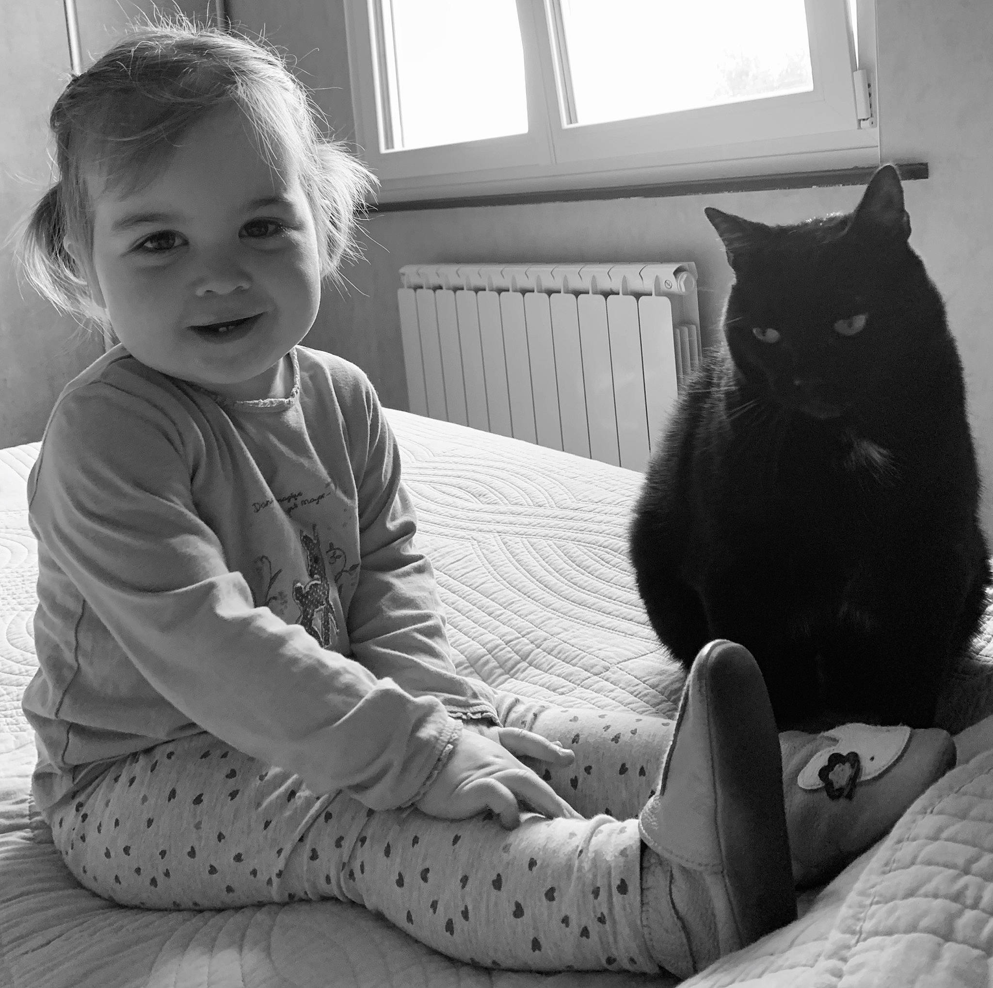 Cookie participe au concours pour gagner de l'argent avec cette photo : baby_toddler_clothing, black, black_and_white, carnivore, cat, comfort, eye, felidae, hair, happy, leg, organ, sleeve, small_to_medium_sized_cats, smile, style, toddler, whiskers, white, window