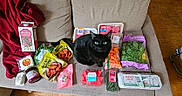 Petunia is registered to the contest to win money with this photo: animal, black_cat, carrots, cat, couch, eggs, food_packaging, green_eyes, groceries, home, indoor, meat, packaged_food, pet, red_blanket, shopping, sitting, spinach, vegetables, wooden_floor