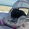 black_cat, cat, mesh_carrier, beach, sand, ocean, blue_sky, glass_dish, pet_carrier, towel, outdoor, sunlight, animal, resting, curious, summer, vacation, relaxation, pet, daytime