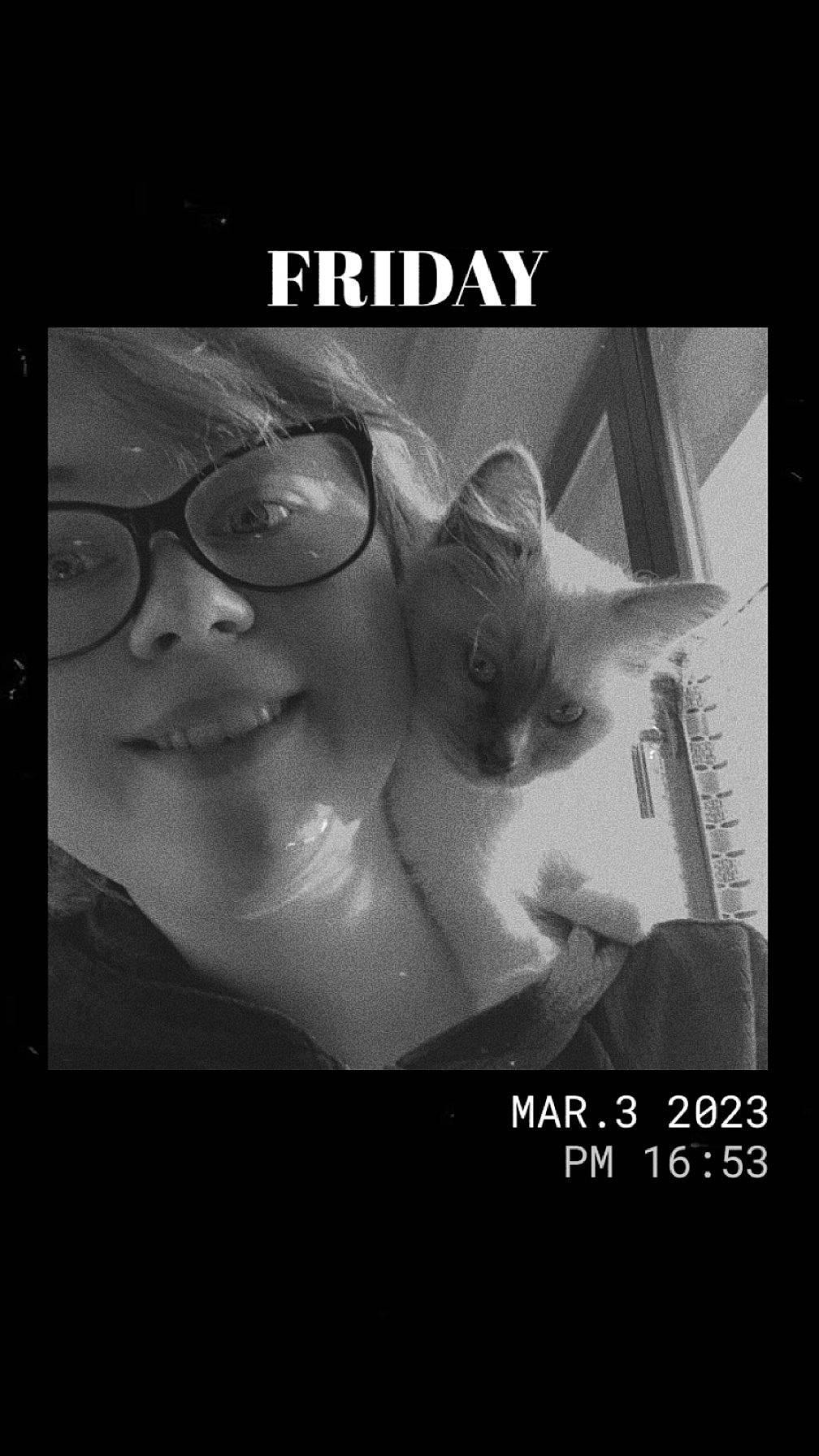 Tétris participe au concours pour gagner de l'argent avec cette photo : advertising, carnivore, cat, darkness, eyewear, facial_expression, felidae, flash_photography, font, glasses, graphic_design, happy, jaw, monochrome, monochrome_photography, photo_caption, small_to_medium_sized_cats, smile, vision_care, whiskers