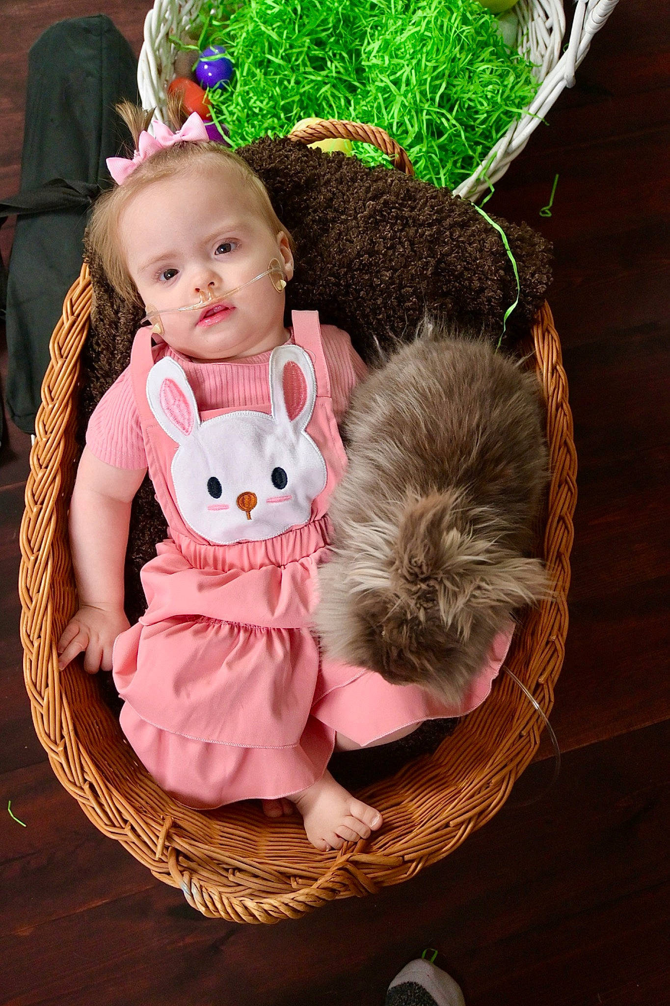 Laila joined the competition — help win amazing prizes! baby, baby_products, baby_toddler_clothing, basket, child, costume, doll, dress, event, fashion_accessory, grass, happy, pattern, peach, person, pink, ruffle, sitting, stuffed_toy, toddler