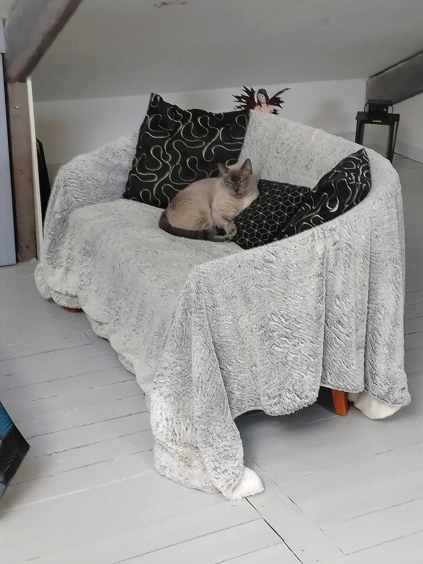 Tigrou a rejoint le concours — aidez-le/la à gagner de superbes lots ! cat, couch, blanket, pillow, indoor, floor, decor, resting, furniture, animal, pet, cozy, furry, home, relaxing, light, patterned_pillow, napping, soft_texture, minimalist