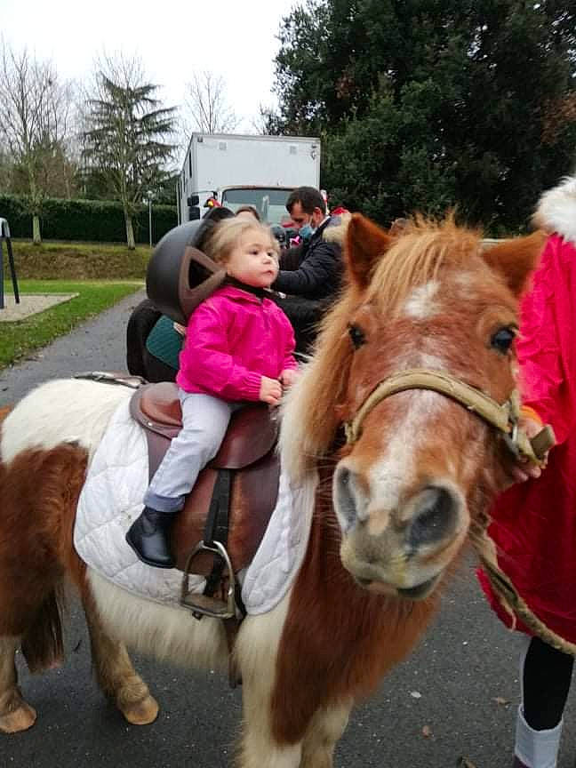 Apoline participe au concours pour gagner de l'argent avec cette photo : bit, blurred, bridle, equestrian_sport, equestrianism, halter, horse, horse_supplies, horse_tack, landscape, livestock, mane, outdoor_recreation, pack_animal, person, plant, recreation, rein, saddle, snout