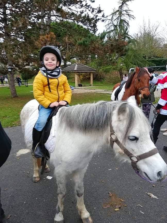 Leandro participe au concours pour gagner de l'argent avec cette photo : animal_sports, bridle, equestrian_sport, equestrianism, event, headwear, horse, horse_supplies, horse_tack, joy, landscape, livestock, mane, mare, pack_animal, person, plant, recreation, rein, shetland_pony