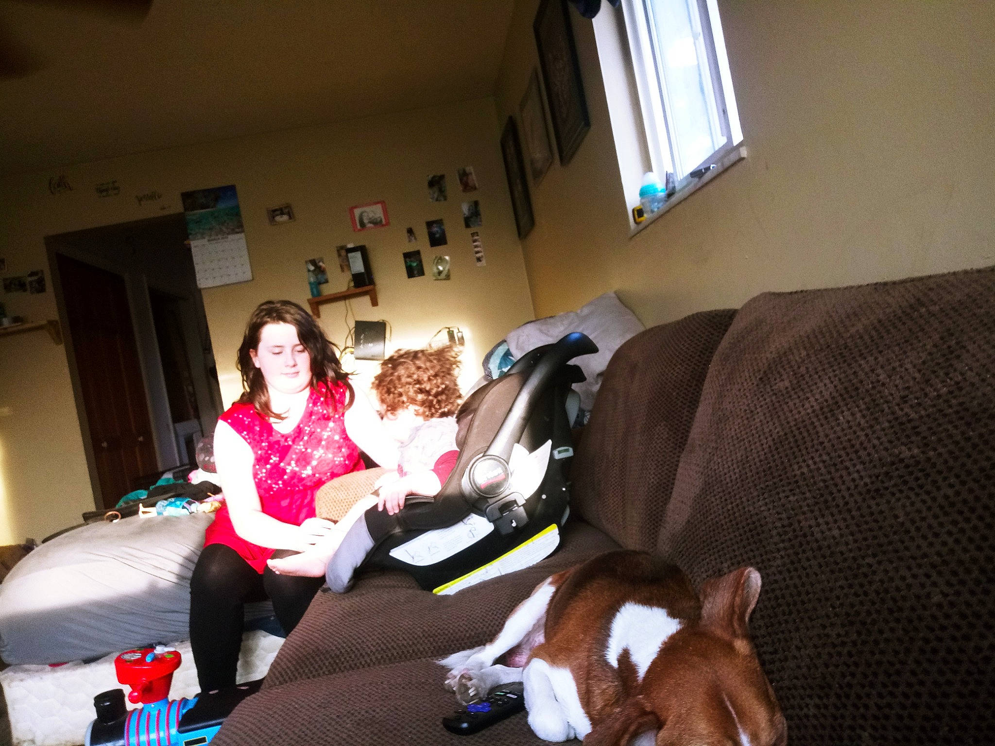 Nevaeh is registered to the contest to win money with this photo: canidae, carnivore, companion_dog, dog, fawn, fun, joy, lap, person, room, sporting_group