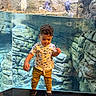 aquarium, boy, brown_hair, child, clothing, family_outing, glass, indoor, marine_life, pants, penguins, portrait, rocks, shoes, standing, t_shirt, toddler, underwater, water, zoo