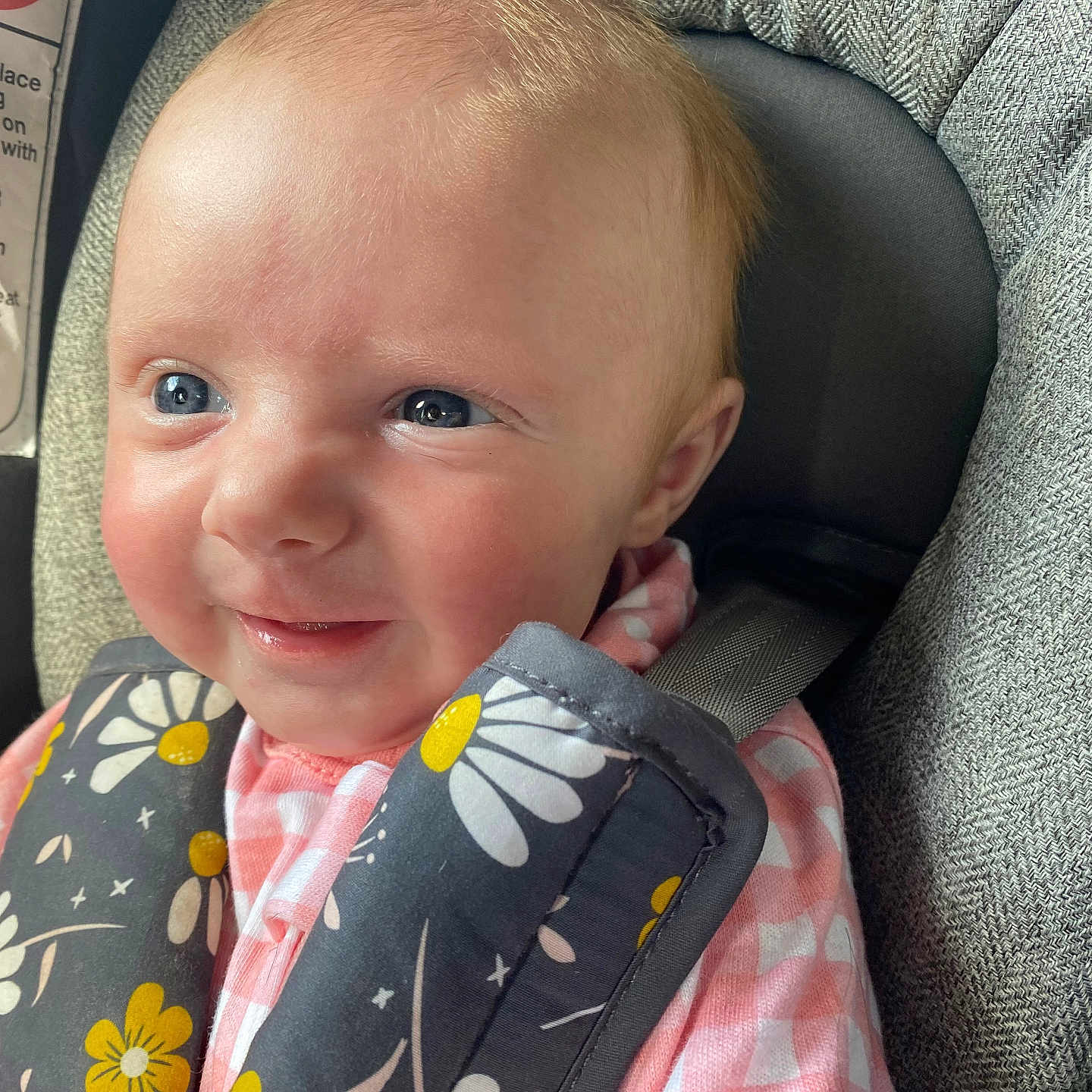 Paisley is registered to the contest to win money with this photo: baby, blue_eyes, car_seat, cheeks, child, child_safety, closeup, cute, face, floral_pattern, happy, indoor, infant, person, pink_clothing, portrait, safety_harness, seat_belt, smiling, young_child