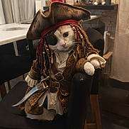 Sparow participe au concours pour gagner de l'argent avec cette photo : beaded_hair, cat, chair, clock, costume, curtains, cute, decor, eye_patch, feline, indoor, pet, pirate_costume, portrait, seated, sword, table, tricorn_hat, whiskers, wooden_floor