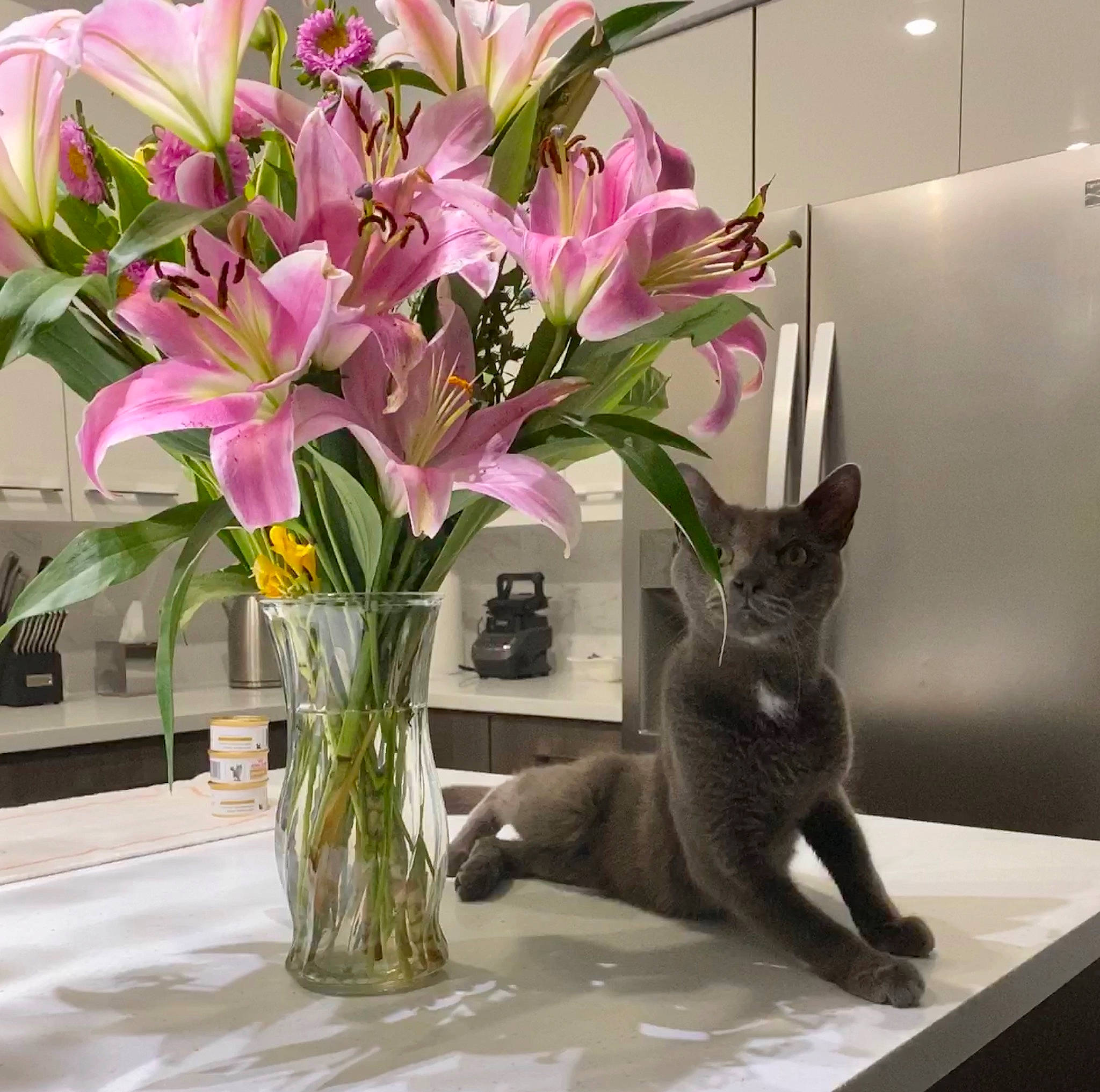 Smittens joined the competition — help win amazing prizes! art, artifact, artificial_flower, bouquet, centrepiece, creative_arts, cut_flowers, floral_design, flower, flower_arranging, flowering_plant, flowerpot, houseplant, interior_design, petal, plant, sculpture, table, terrestrial_plant, vase