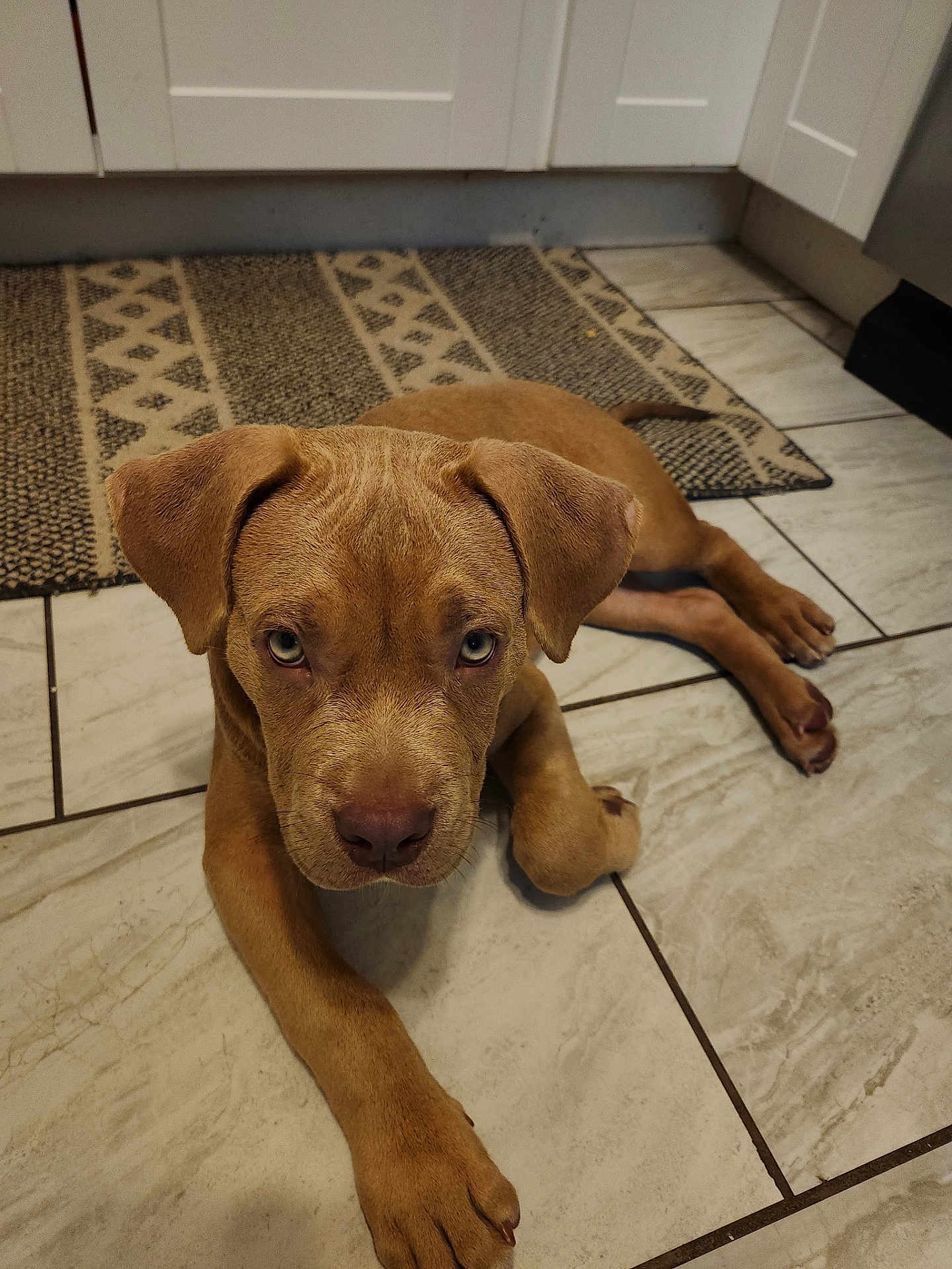 Bentley