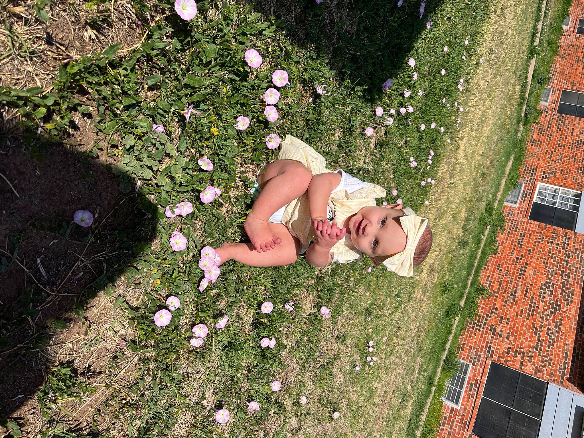 Kaylana is registered to the contest to win money with this photo: botany, flooring, flower, fun, grass, grass_family, groundcover, happy, headwear, human_leg, joy, lawn, leg, leisure, meadow, nature, people_in_nature, person, petal, plant