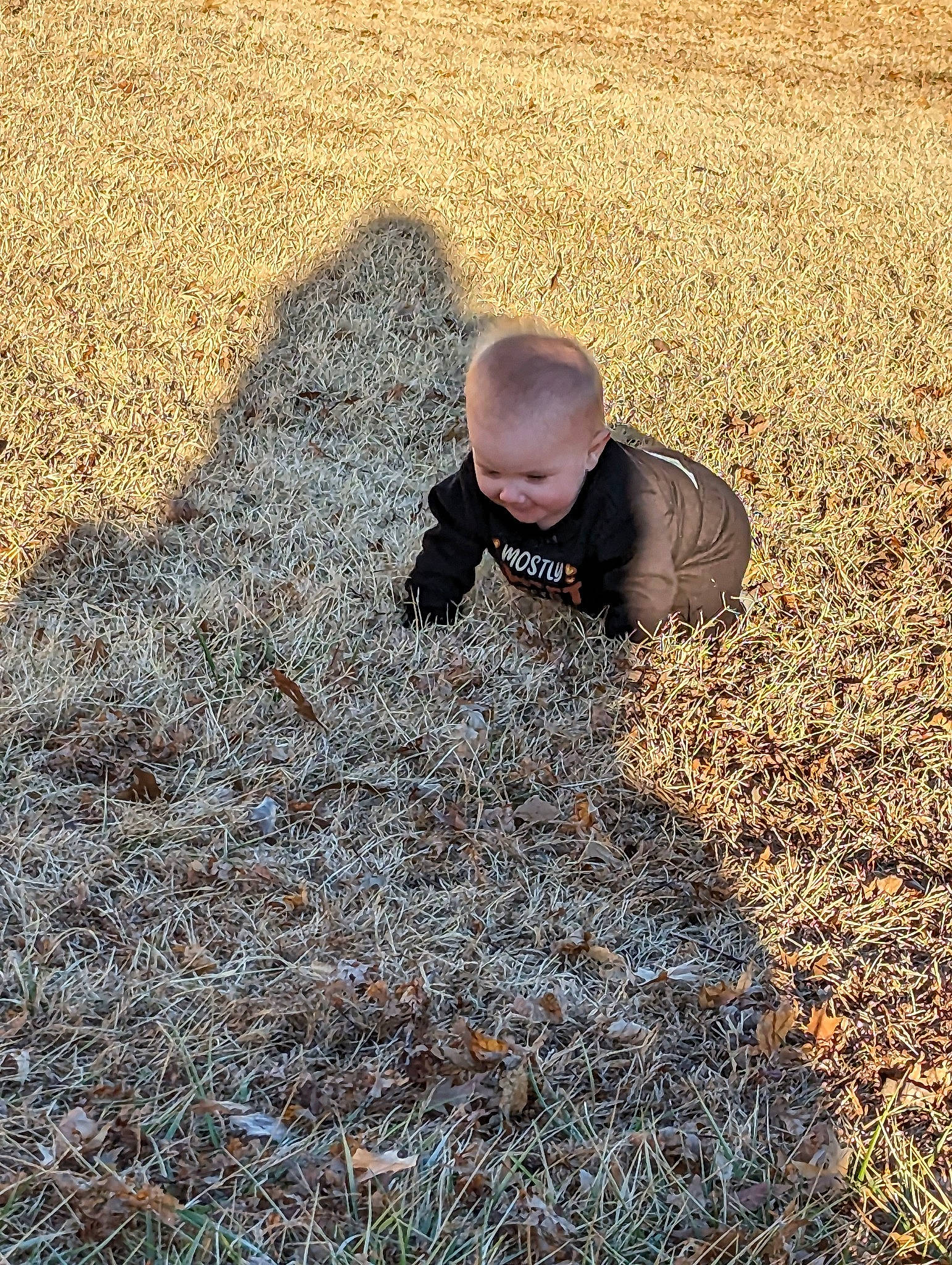 Cora joined the competition — help win amazing prizes! asphalt, baby, child, deciduous, field, flooring, grass, grass_family, grassland, groundcover, landscape, people_in_nature, person, plant, road_surface, shadow, sitting, soil, tints_and_shades, toddler