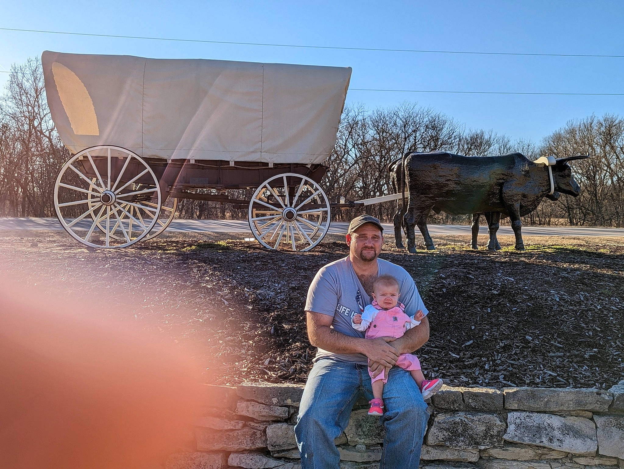 Cora is registered to the contest to win money with this photo: automotive_tire, carriage, cart, headwear, joy, landscape, livestock, motor_vehicle, pack_animal, person, rolling, rural_area, sitting, sky, soil, sorrow, tints_and_shades, tire, travel, tree