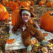 Noah Jeuniel is registered to the contest to win money with this photo: autumn, baby, baby_clothing, baby_sock, bear_costume, blanket, child, cute, fall_leaves, forest_floor, headwear, leaf_litter, nature, outdoor, pumpkin, pumpkin_patch, seasonal, smiling, sunlight, trees