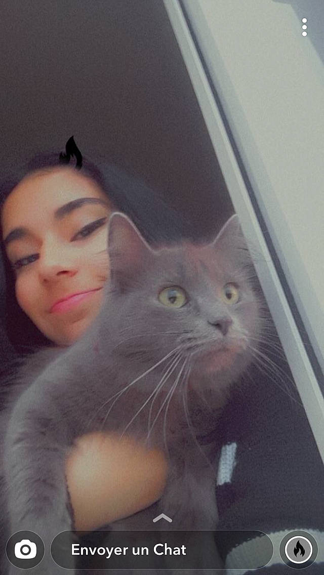 Tîbouille participe au concours pour gagner de l'argent avec cette photo : carnivore, cat, domestic_short_haired_cat, ear, eye, eyelash, fawn, felidae, flooring, fur, gesture, iris, nose, selfie, sitting, small_to_medium_sized_cats, snout, whiskers, window