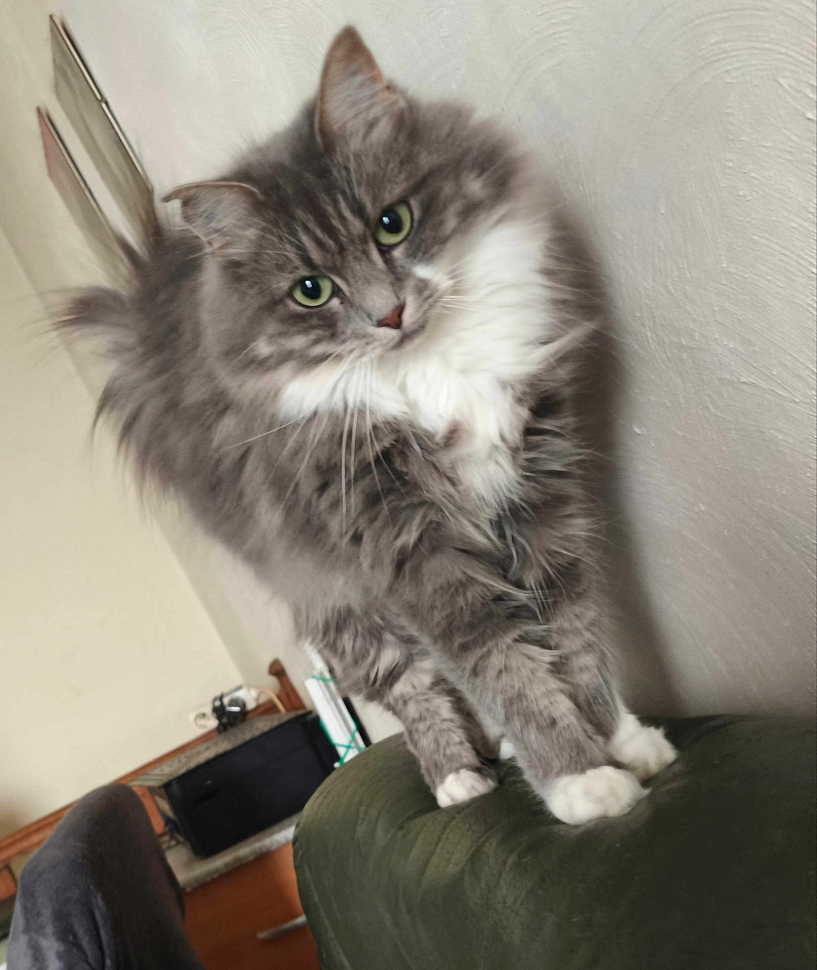 Smokey